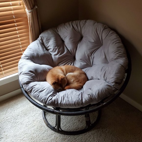 Meet Your Seller - Picture 3 of 6